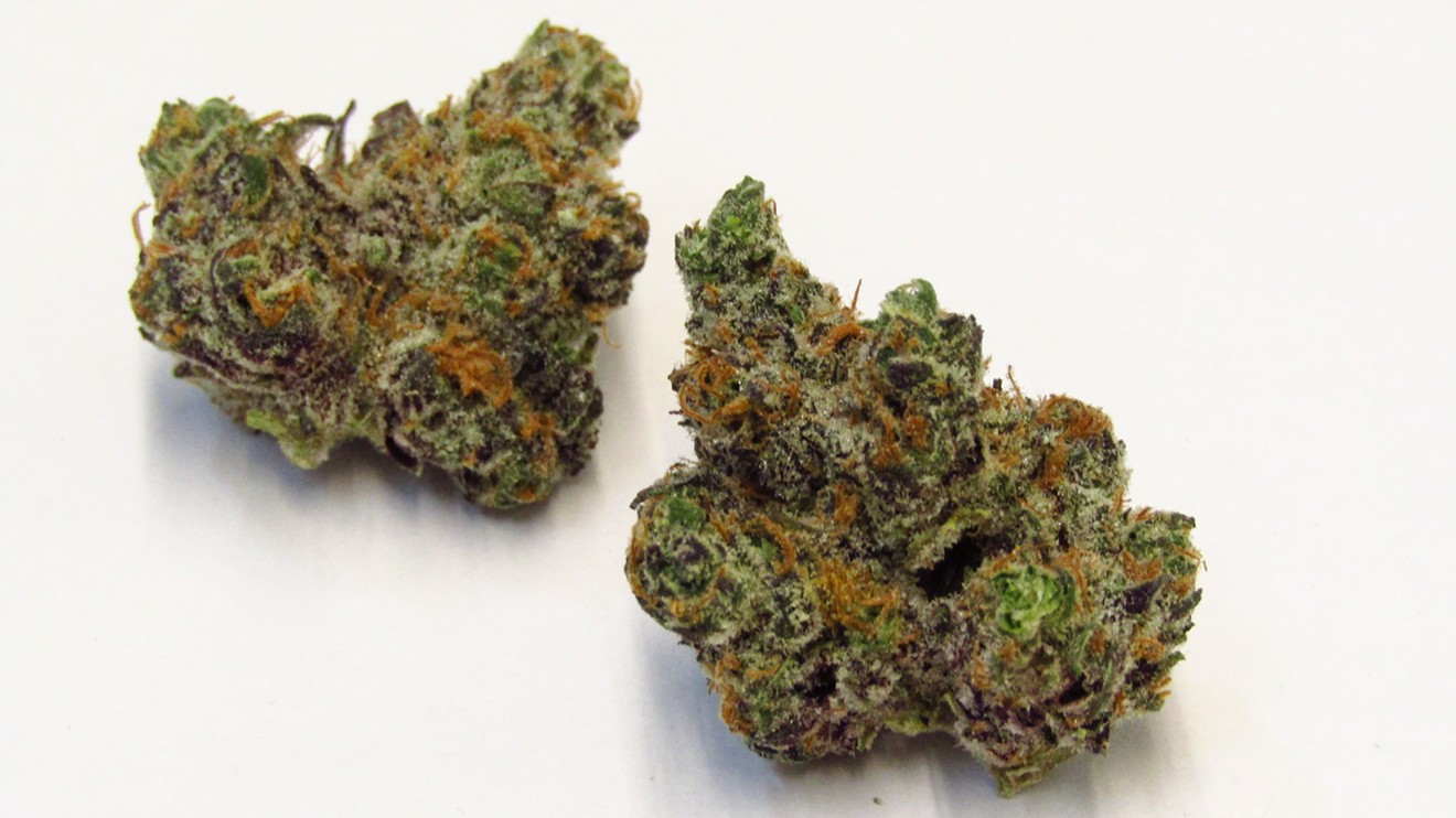 Apple Fritter
